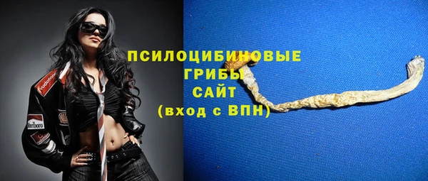 a pvp Арсеньев