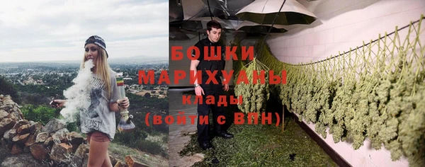 дурь Рославль