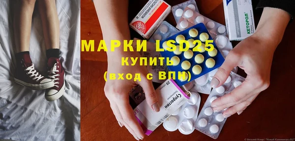 индика Аркадак