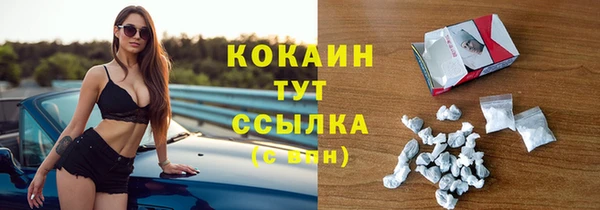 дурь Рославль